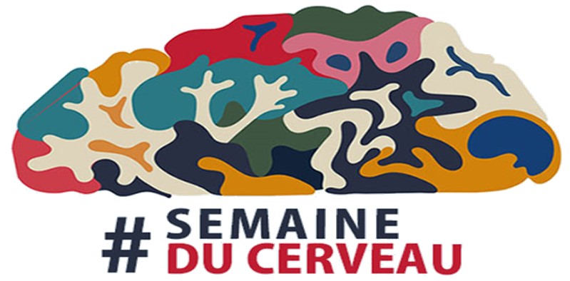 Retour sur la semaine du cerveau