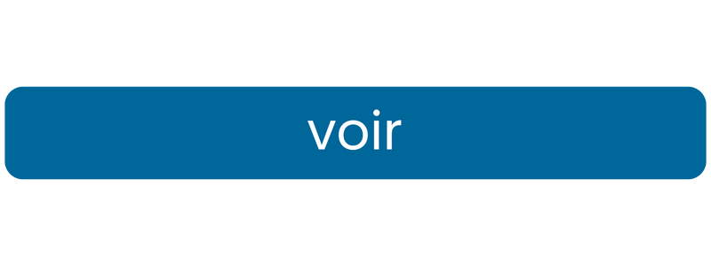 Button_voir.png